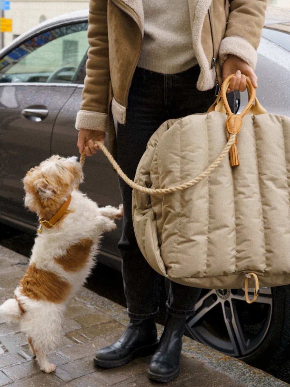 Beige Quilted Dog Car Seat and Carrier - Safe Comfortable Travel by Hunting Pony - Picture 2 of 5